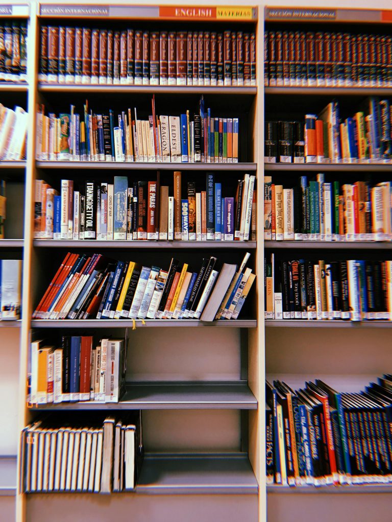 img-03-free-img Vibrant photo of a library bookshelf in Madrid, showcasing diverse book genres and colorful covers.